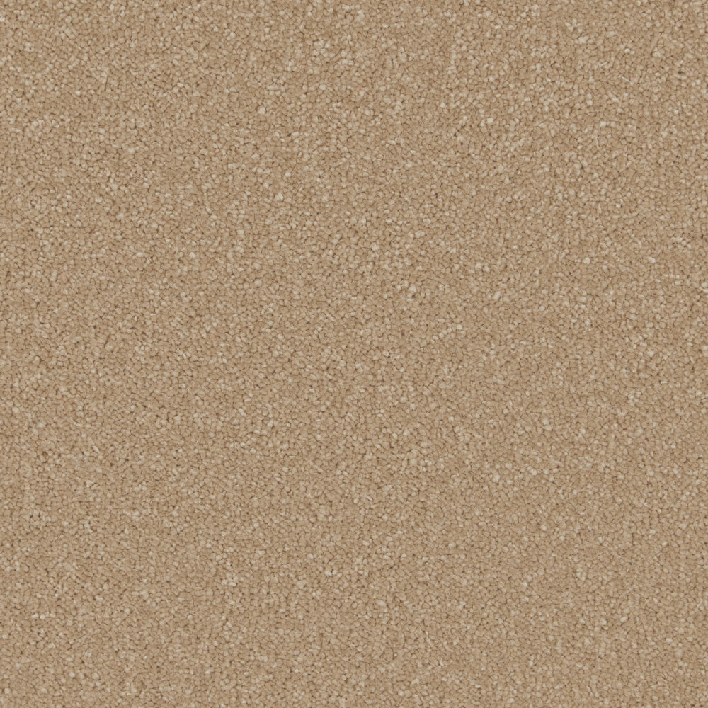 Sample