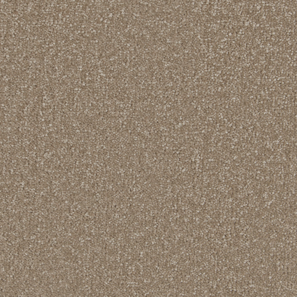 Sample