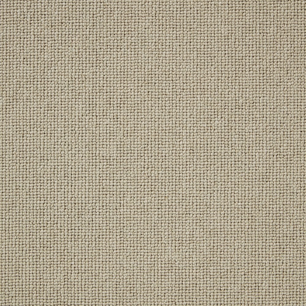 Sample